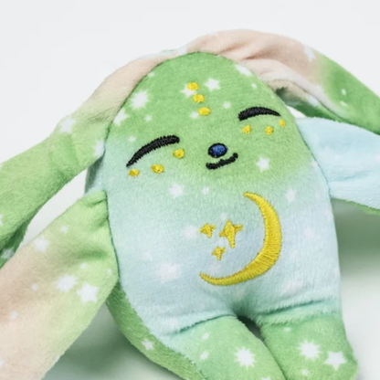 Mini Duyu Terapisi Oyuncağı CLOVER