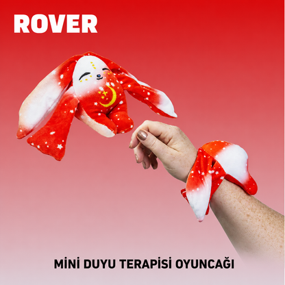 Mini Duyu Terapisi Oyuncağı ROVER